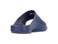 Deer Stags Ward 12 Deer Stags Ward -StridePro Shop 61IINjE4fZL