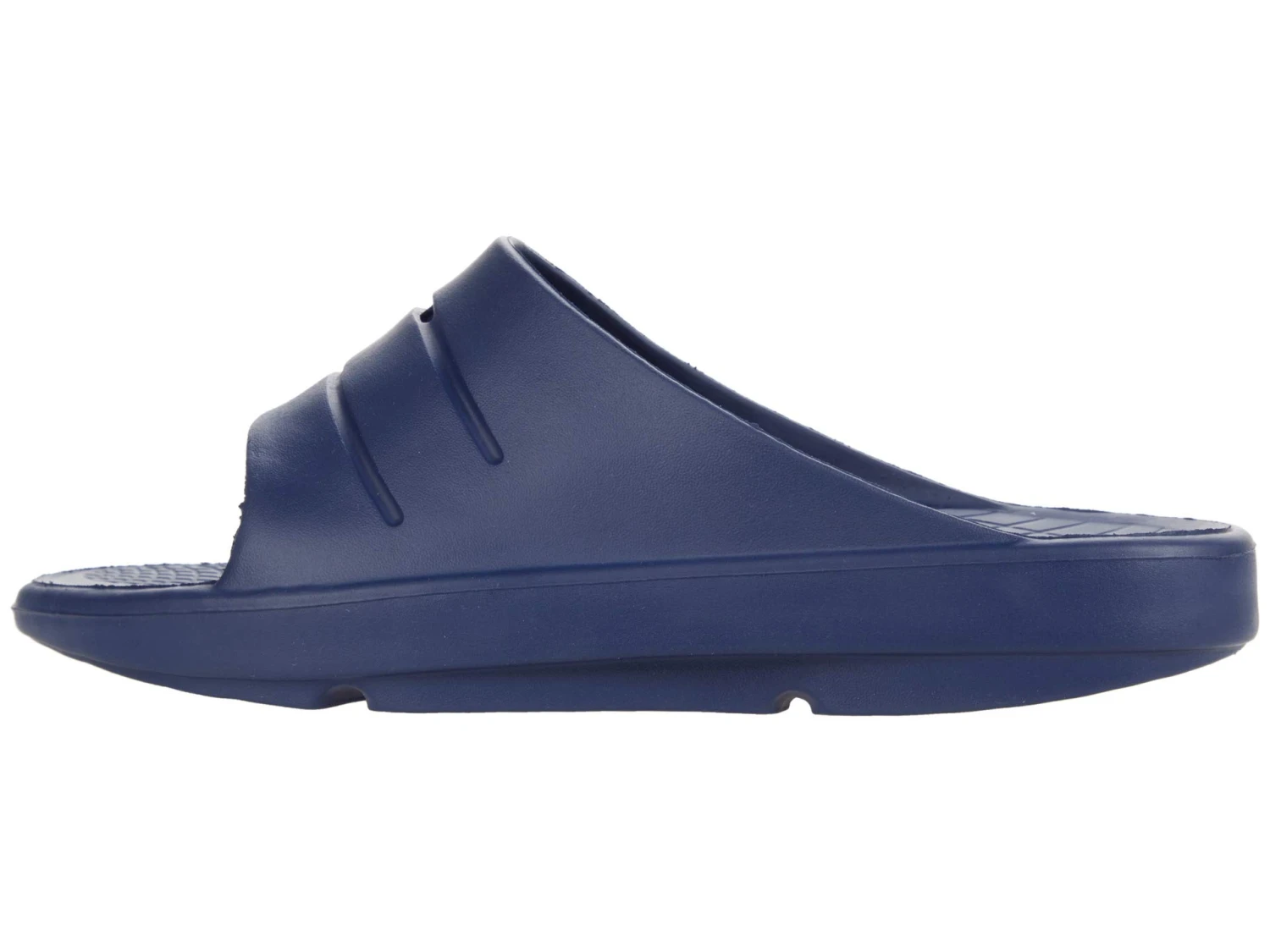 Deer Stags Ward 6 Deer Stags Ward - Image 4