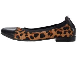 David Tate Nicole -StridePro Shop 71LZ341fjhL