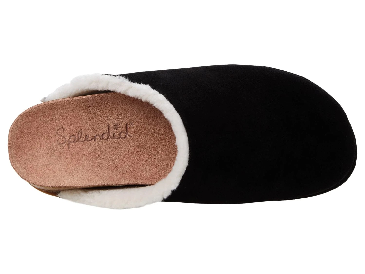 Splendid Cora 4 Splendid Cora - Image 2