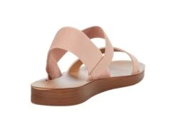 Rsvp Posy -StridePro Shop 71RMgXxelL