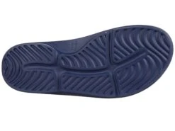 Deer Stags Ward 10 Deer Stags Ward -StridePro Shop 71WSRN9QhfL